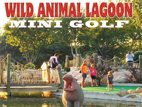 Cape Cod Mini Golf, Cape Cod Golf Courses, Golfing On Cape Cod