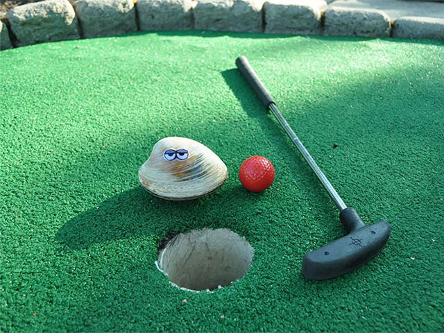 Cape Cod Mini Golf, Cape Cod Golf Courses, Golfing On Cape Cod