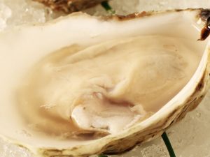 Mid Cape Cod Restaurants, Dining In Mid Cape Cod