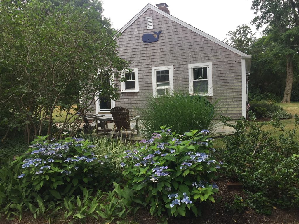 Orleans MA Vacation Rentals, Upper Cape Cod Vacation Rentals, Upper Cape Cod Vacations, Upper Cape Cod MA Vacation Rentals