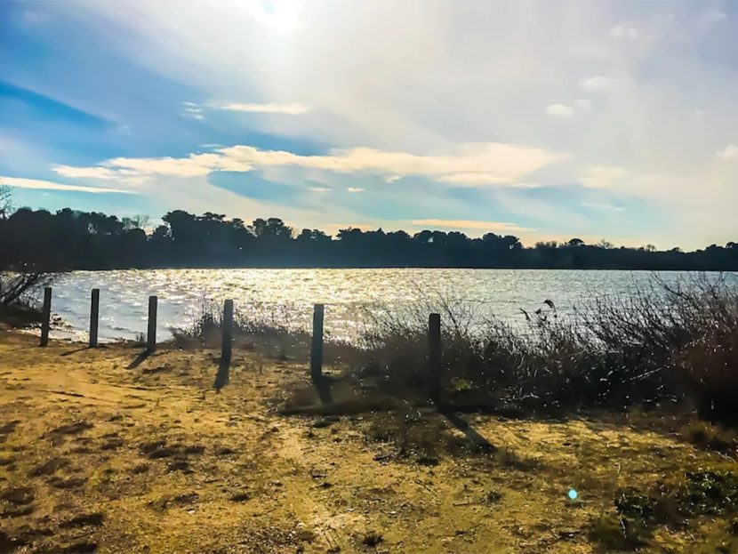 Eastham MA Vacation Rentals, Vacation Rentals In Eastham MA, Vacation